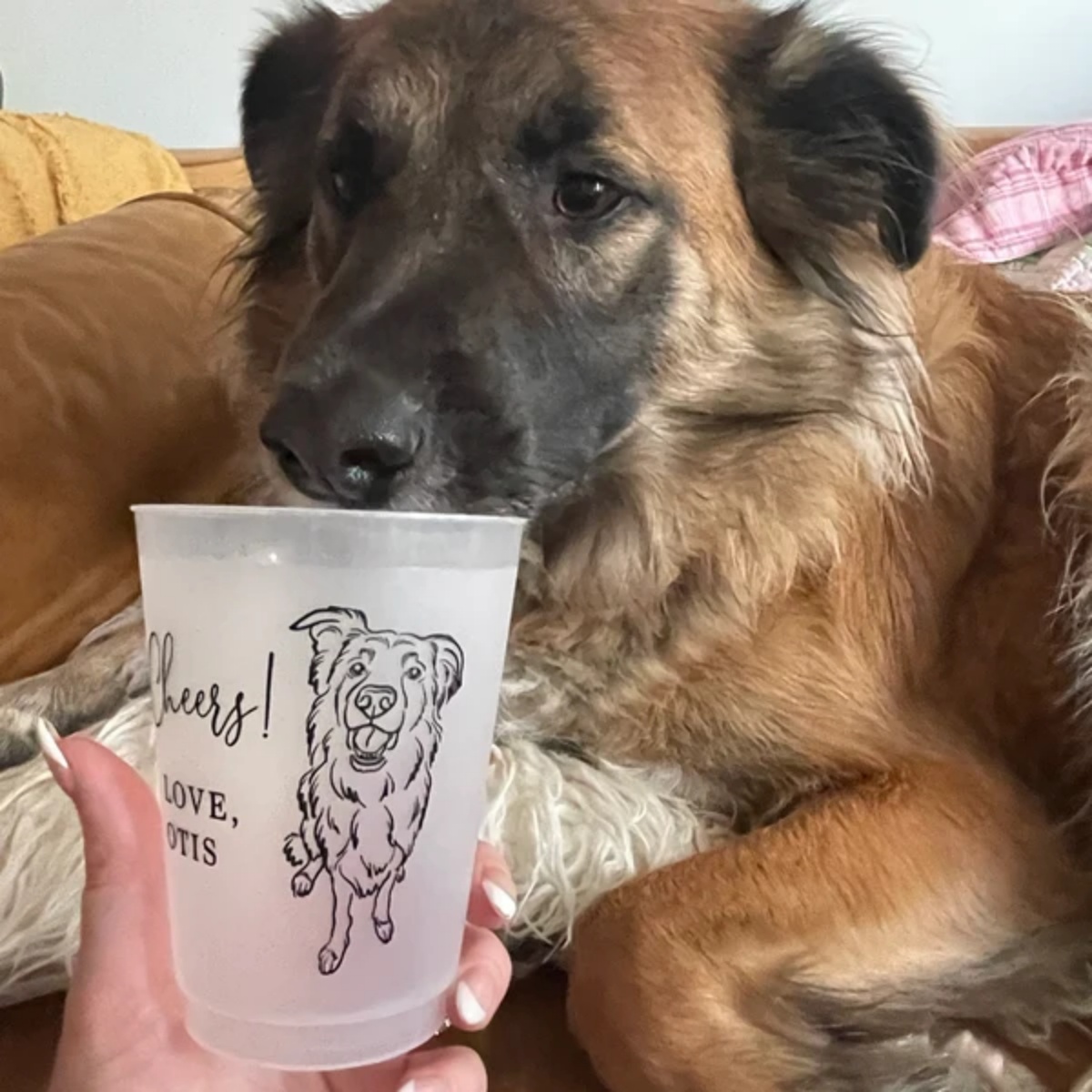 10/50 Copos de Plástico Fosco  - Plastic Cup 50Pcs avaliação e preço